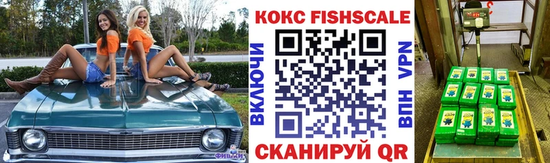продажа наркотиков Ишим COCAIN Fish Scale