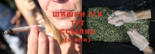 ешки Семилуки