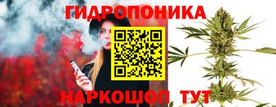 амф Будённовск