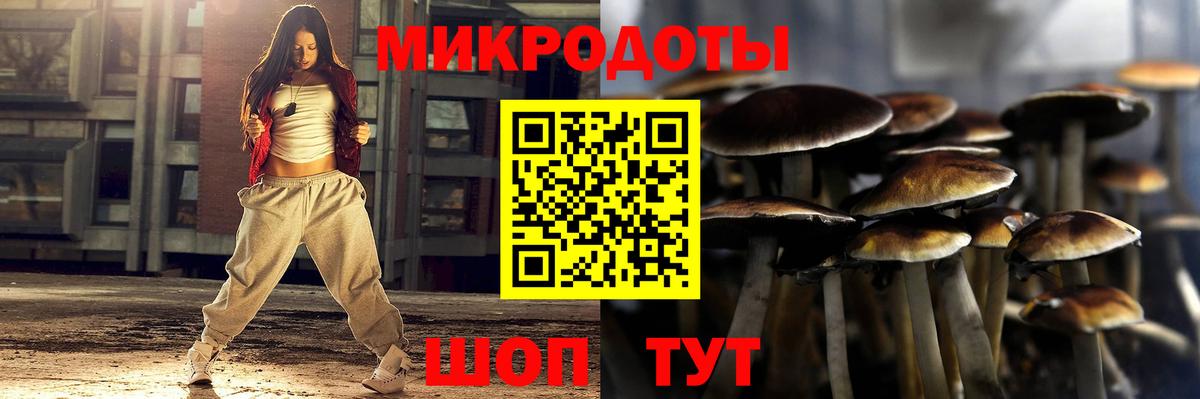 Ишим  Галлюциногенные грибы мицелий  Вход с VPN 